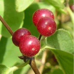 Flore Riche Soldes Magasin -Flore Riche Soldes Magasin 10638513 2