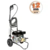 Nettoyeur Haute Pression Thermique Oleo Mac PWX200C -Flore Riche Soldes Magasin 11318592 1