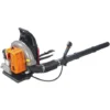 Souffleur à Dos Thermique, 65 Cm3 -Flore Riche Soldes Magasin 1165514 1