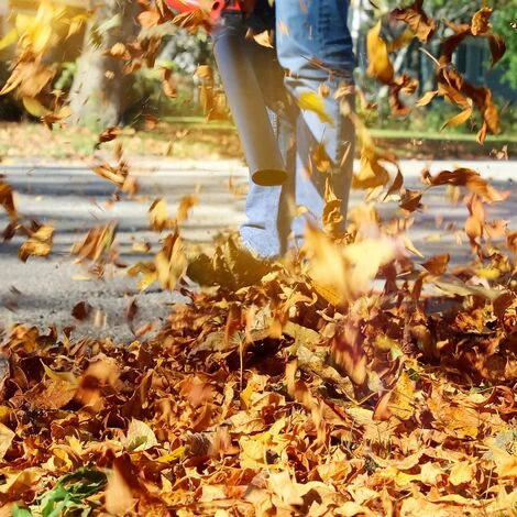 Aspirateur Souffleur De Feuilles Mortes & Broyeur Essence 1CV 26ccm 3-en-1 Sac Collecteur 50L 5 Aspirateur Souffleur De Feuilles Mortes & Broyeur Essence 1CV 26ccm 3-en-1 Sac Collecteur 50L – Image 3