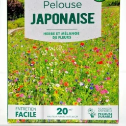 Pelouse Fleurie Japonaise, Gazon Et Mélange De Fleurs. 20 M² -Flore Riche Soldes Magasin 15011082 3