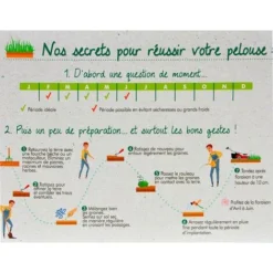 Pelouse Fleurie Japonaise, Gazon Et Mélange De Fleurs. 20 M² -Flore Riche Soldes Magasin 15011082 5