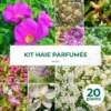 Kit Haie Parfumée - 20 Jeunes Plants -