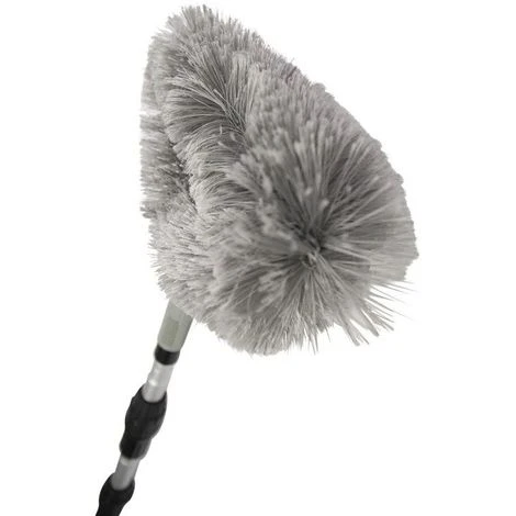 Tête De Loup 5 Tête De Loup – Image 3