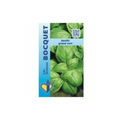 Basilic Grand Vert - 1g