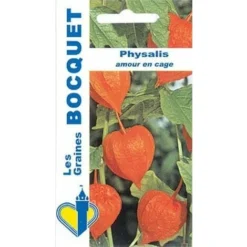 Physalis - Lanterne Chinoise - 0,5g