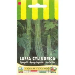 Luffa Cylindrica (éponge Végétale) - 1g