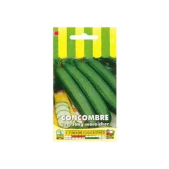 Concombre Vert Long Maraîcher - 3g