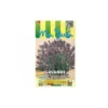 Lavande Officinale Vivace Vraie - 1g -Flore Riche Soldes Magasin 19044359 1
