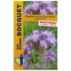 Phacélie ( Phacelia Tanacetifolia ) - 100g