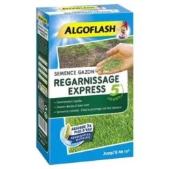 Semence Gazon Express 1 Kg