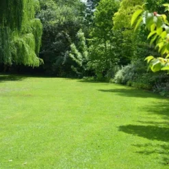 Gazon Professionnel Esthétique Et Résistant. 300 M² 11 Gazon Professionnel Esthétique Et Résistant. 300 M² -Flore Riche Soldes Magasin 2403916 5