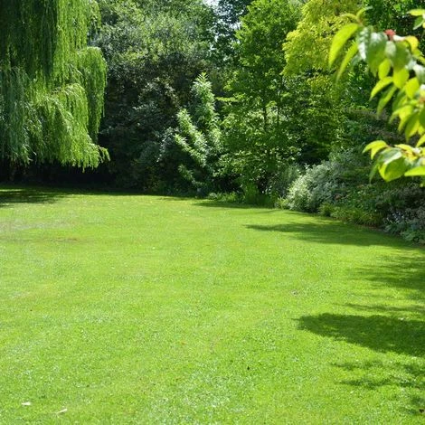 Gazon Professionnel Esthétique Et Résistant. 300 M² 7 Gazon Professionnel Esthétique Et Résistant. 300 M² – Image 5