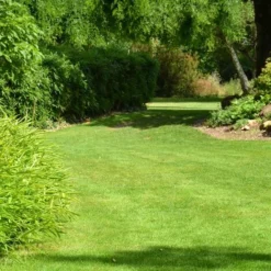 Gazon Professionnel Résistant à La Chaleur Et à La Sécheresse. 250 M² -Flore Riche Soldes Magasin 2403917 5