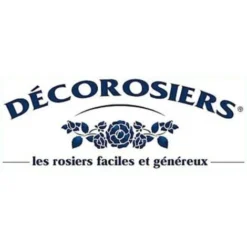 Rosier Arbustif Decorosier® Opalia® 'Noaschnee'/Pot De 2 L