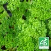 Persil Frisé BIO/Godet -Flore Riche Soldes Magasin 24364742 1