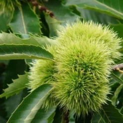 Flore Riche Soldes Magasin -Flore Riche Soldes Magasin 2719342 2