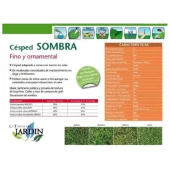 Graines De Gazon à L'ombre 20 Kg -Flore Riche Soldes Magasin 27209958 2