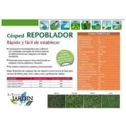Graines De Graminées De Repeuplement 1 Kg -Flore Riche Soldes Magasin 27209965 2