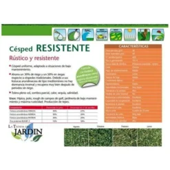 Graines De Graminées Résistantes 1 Kg -Flore Riche Soldes Magasin 27209967 2