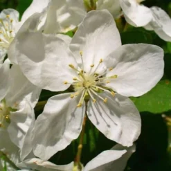 Flore Riche Soldes Magasin -Flore Riche Soldes Magasin 2753115 2