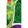 Semence De Gazon Central Park 'Regarnissage Extra' 1 Kg -Flore Riche Soldes Magasin 27547679 1