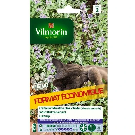Vilmorin - Cataire Menthe Chats Gm Vl 2 3 Vilmorin - Cataire Menthe Chats Gm Vl 2