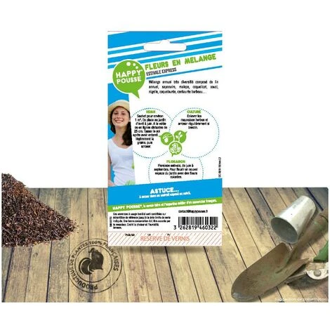 Graines En Mélange De Fleurs D'été à Croissance Rapide/Sachet De 3 Gr. 4 Graines En Mélange De Fleurs D'été à Croissance Rapide/Sachet De 3 Gr. – Image 2