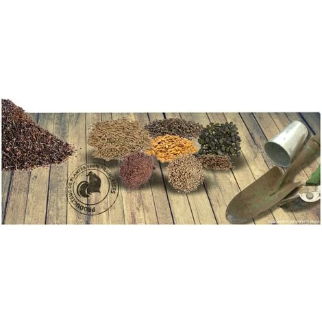 Graines En Mélange De Fleurs D'été à Croissance Rapide/Sachet De 3 Gr. 5 Graines En Mélange De Fleurs D'été à Croissance Rapide/Sachet De 3 Gr. – Image 3