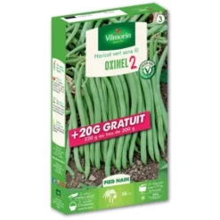 Graines De Haricot Nain Vert Oxinel 2 200grs + 20 Grs Gratuits