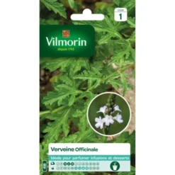 Sachet De Graines Verveine Officinale