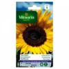 Vilmorin - Soleil Tournesol Fleur Géante -Flore Riche Soldes Magasin 28401631 1