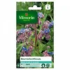 Vilmorin - Bourrache Officinale -Flore Riche Soldes Magasin 28401783 1