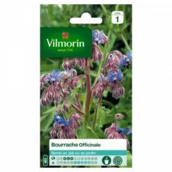 Vilmorin - Bourrache Officinale