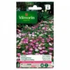 Vilmorin - Ficoïde Tapis Magique -Flore Riche Soldes Magasin 28401841 1