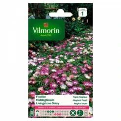 Vilmorin - Ficoïde Tapis Magique