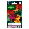 Vilmorin - Capucine De Lobb Variée -Flore Riche Soldes Magasin 28401855 1