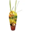 Citronnelle, Cymbopogon Citratus, 12cm Pot -Flore Riche Soldes Magasin 28413282 1