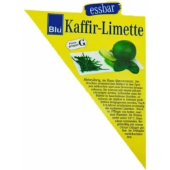 Kaffir Lime - Citrus Hystrix - 1 Plante - Kaffir Lime Plante à épices -Flore Riche Soldes Magasin 28413405 3
