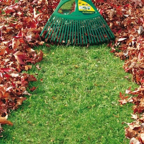 Balai à Gazon XL LEBORGNE 27 Dents Manche Bois Certifié PEFC - 369711 5 Balai à Gazon XL LEBORGNE 27 Dents Manche Bois Certifié PEFC - 369711 – Image 3