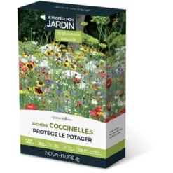 Prairies Fleuries : J'attire Les Coccinelles 300 à 600 M2 Jachères