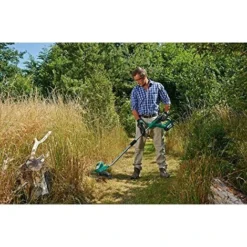 Bosch DIY Tondeuse à Gazon Avec Batterie Advanced Grass Cut 36, Batterie, Chargeur, Bobine, Carton 36V, 2,0Ah, Cercle Diamètre Coupe 30cm, 1pièce, 0600878N03 -Flore Riche Soldes Magasin 32300065 5