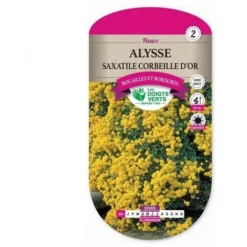 Alysse Saxatile Corbeille D'or