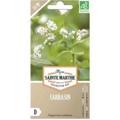 Graines Bio De Sarrasin, Engrais Vert Mellifère