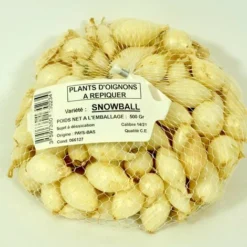 Oignon Blanc SNOWBALL. Bulbes à Planter - Filet 500 G -Flore Riche Soldes Magasin 325798 2