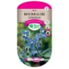 Bourrache Officinale 2 Bourrache Officinale -Flore Riche Soldes Magasin 34950144 1