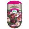 Cosmos Sensation Picotée -Flore Riche Soldes Magasin 34950149 1