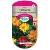 Graines - Cosmos Sulphureus Brightlights -Flore Riche Soldes Magasin 36529413 1
