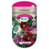 Graines - Cosmos Sensation Nain Royal Varié -Flore Riche Soldes Magasin 36529414 1