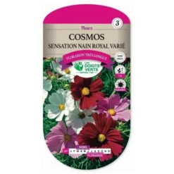 Graines - Cosmos Sensation Nain Royal Varié